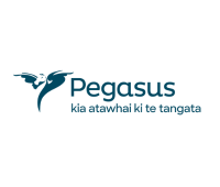 Juno Client | Pegasus Health