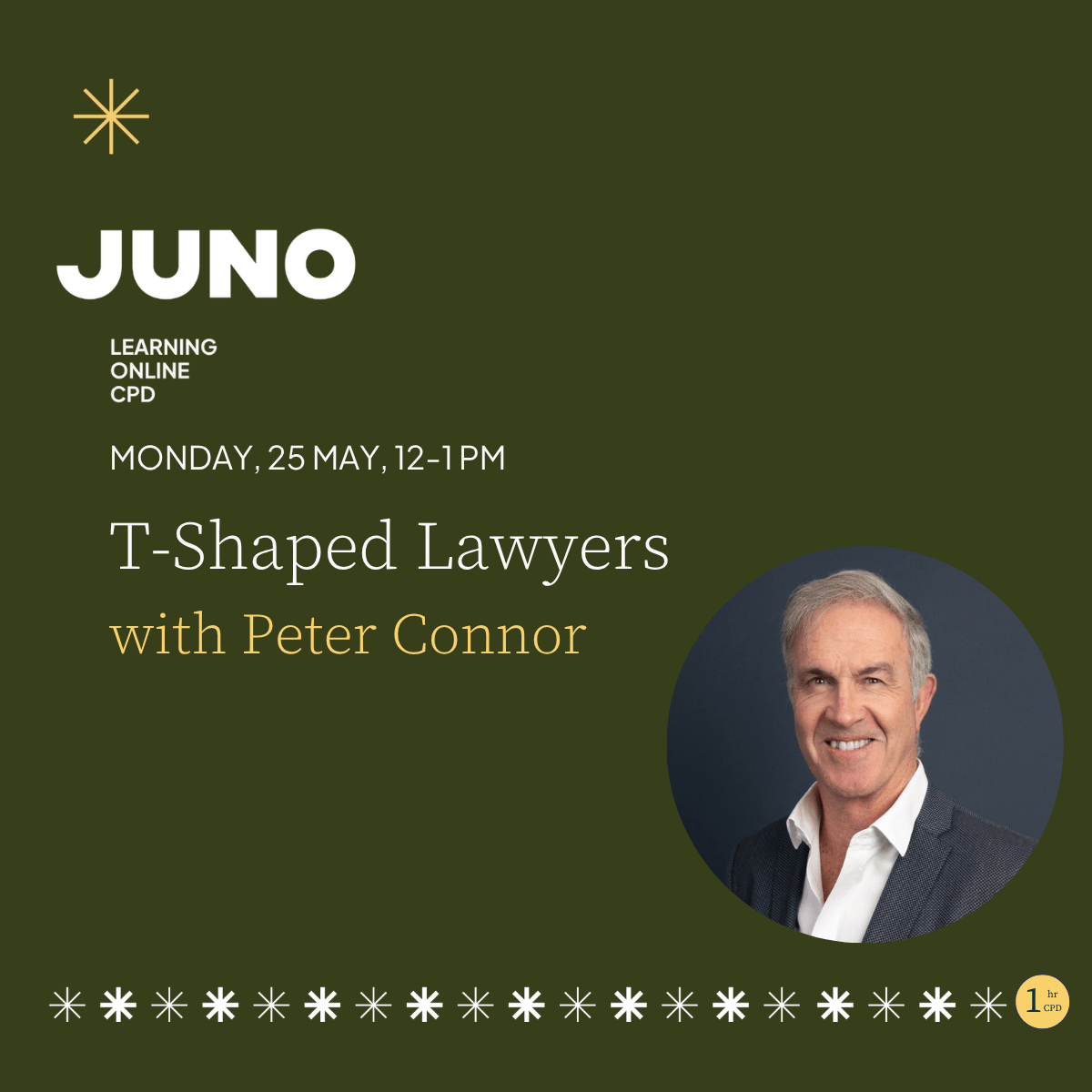 Juno Learning T-Shaped Lawyers Peter Connor
