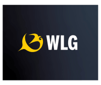 Wellington Airport Logo 