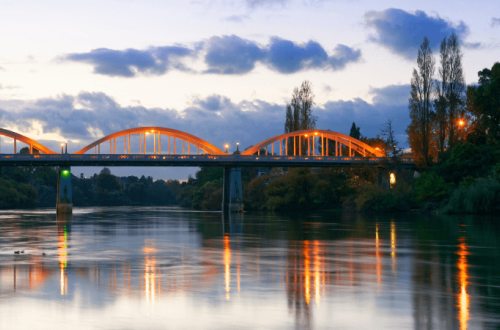 Bridging the gap: Juno’s interim support to Oji Fibre Solutions